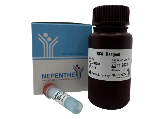 bca protein quantification kit