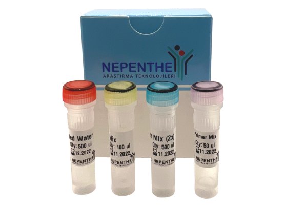 cdna synthesis kit