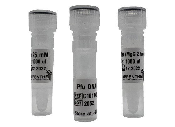 pfu dna polymerase