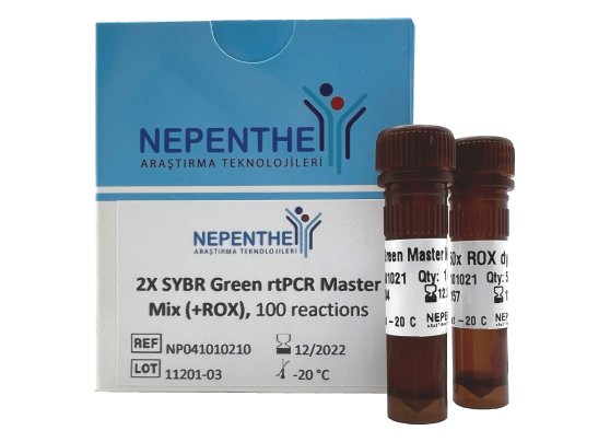 2x sybr green real time pcr master mix